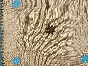 IMG20260619114435_BURST000_COVER (1).webp