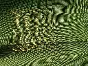 IMG20260719134442.webp